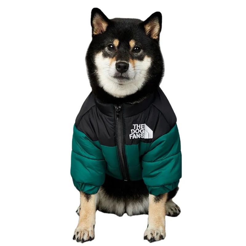 Pet Jacket Kincên Kûçikên Biçûk û Mezin ên Kûçikê